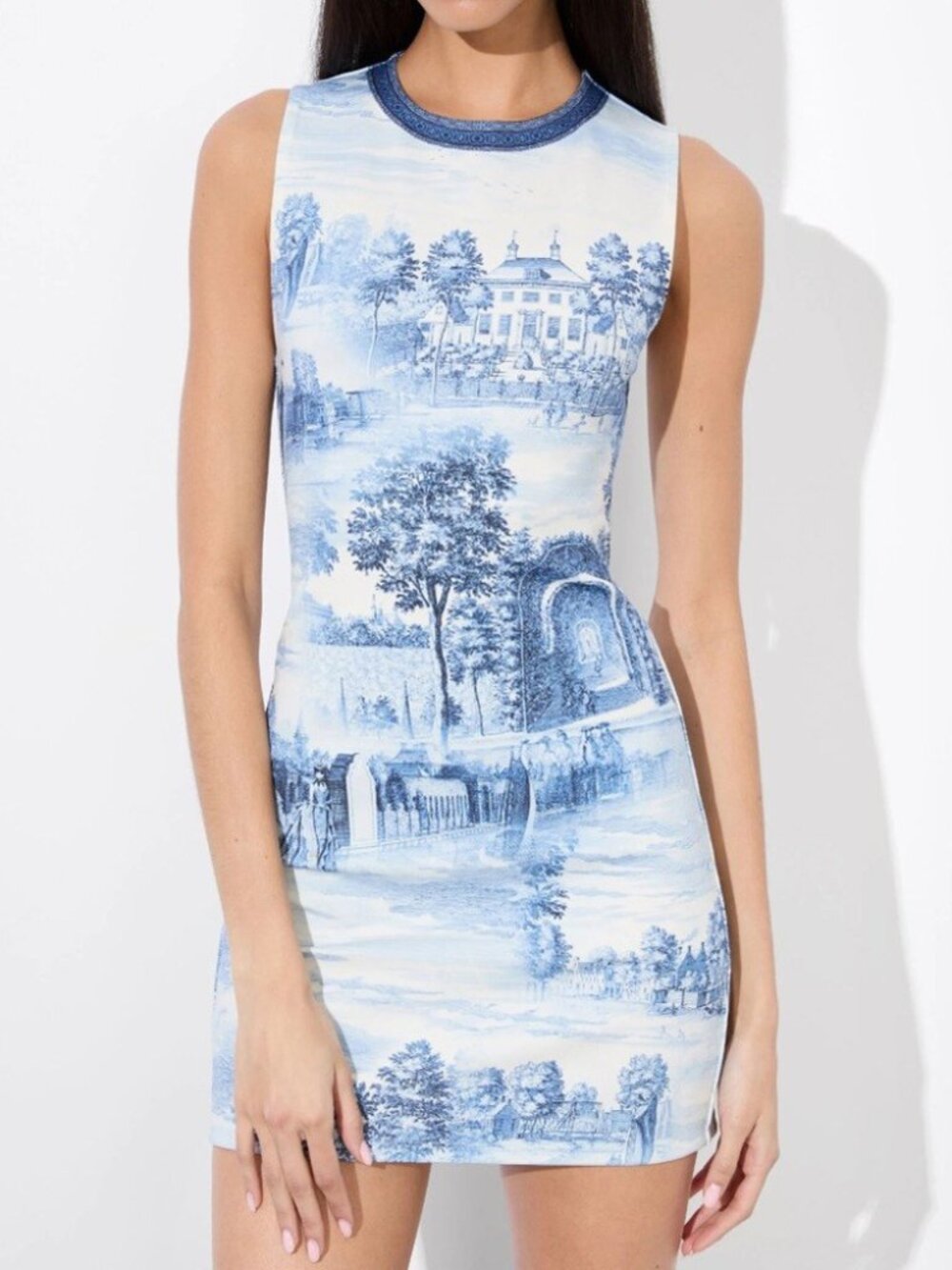 Alice + Olivia Wynell Chateau A Line Mini Dress Blue Toile De Jouy Floral 6